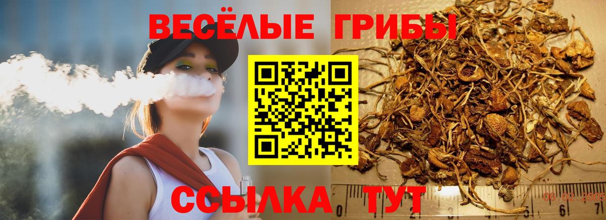 Псилоцибиновые грибы Psilocybe  Псилоцибиновые грибы Psilocybine cubensis  Вход с VPN  Нижнекамск 