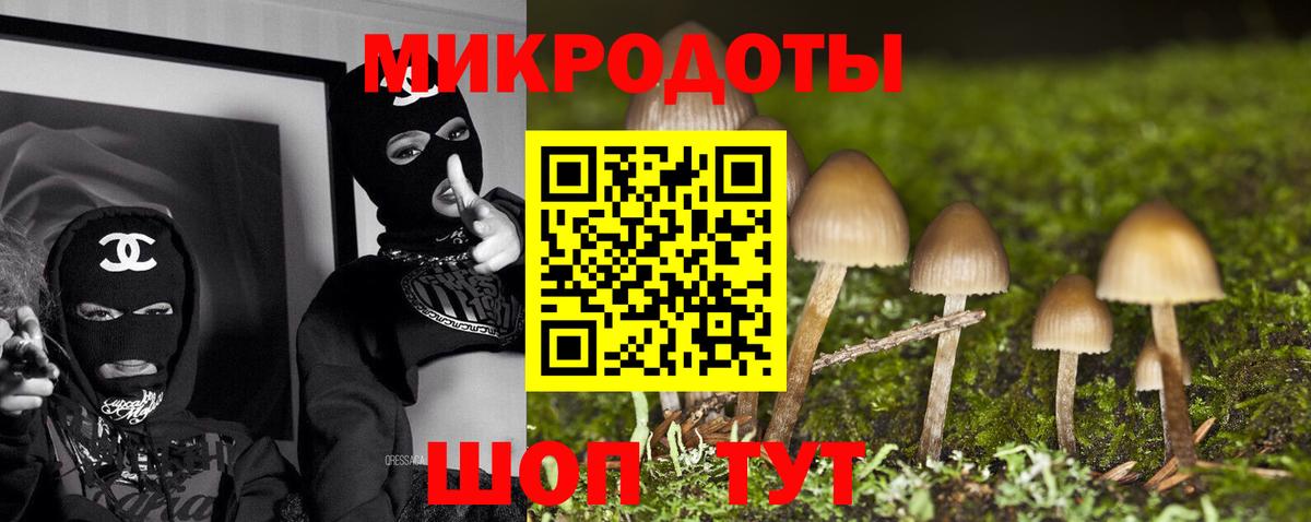 Псилоцибиновые грибы Cubensis Нижнекамск